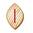 RUNE